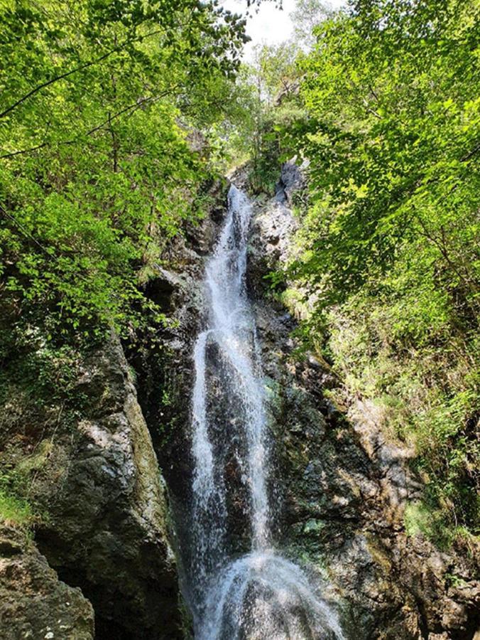 Il Bosco Di Campo Marzano Garden Apartments Borzonasca Bagian luar foto