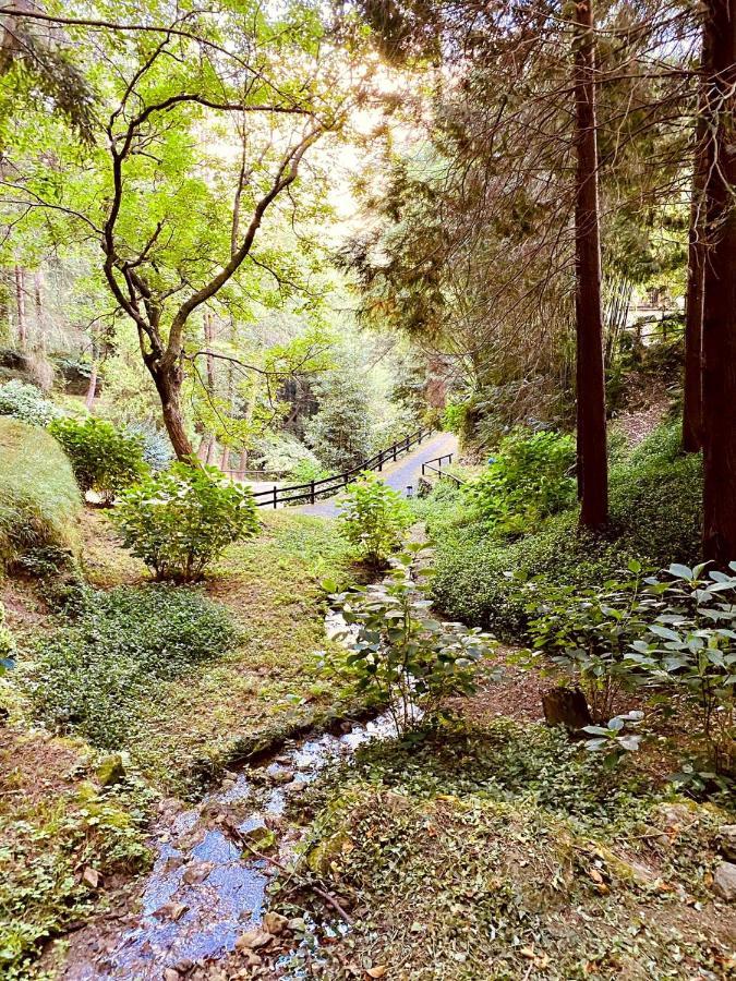 Il Bosco Di Campo Marzano Garden Apartments Borzonasca Bagian luar foto