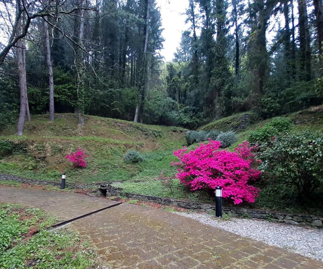 Il Bosco Di Campo Marzano Garden Apartments Borzonasca Bagian luar foto