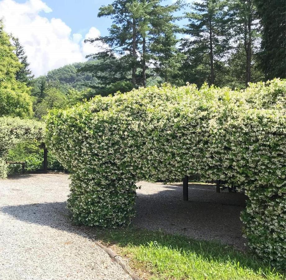 Il Bosco Di Campo Marzano Garden Apartments Borzonasca Bagian luar foto
