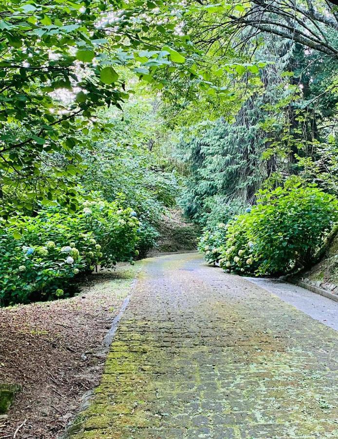 Il Bosco Di Campo Marzano Garden Apartments Borzonasca Bagian luar foto