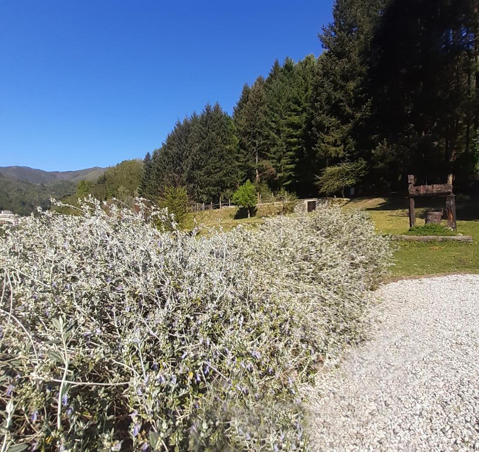 Il Bosco Di Campo Marzano Garden Apartments Borzonasca Bagian luar foto