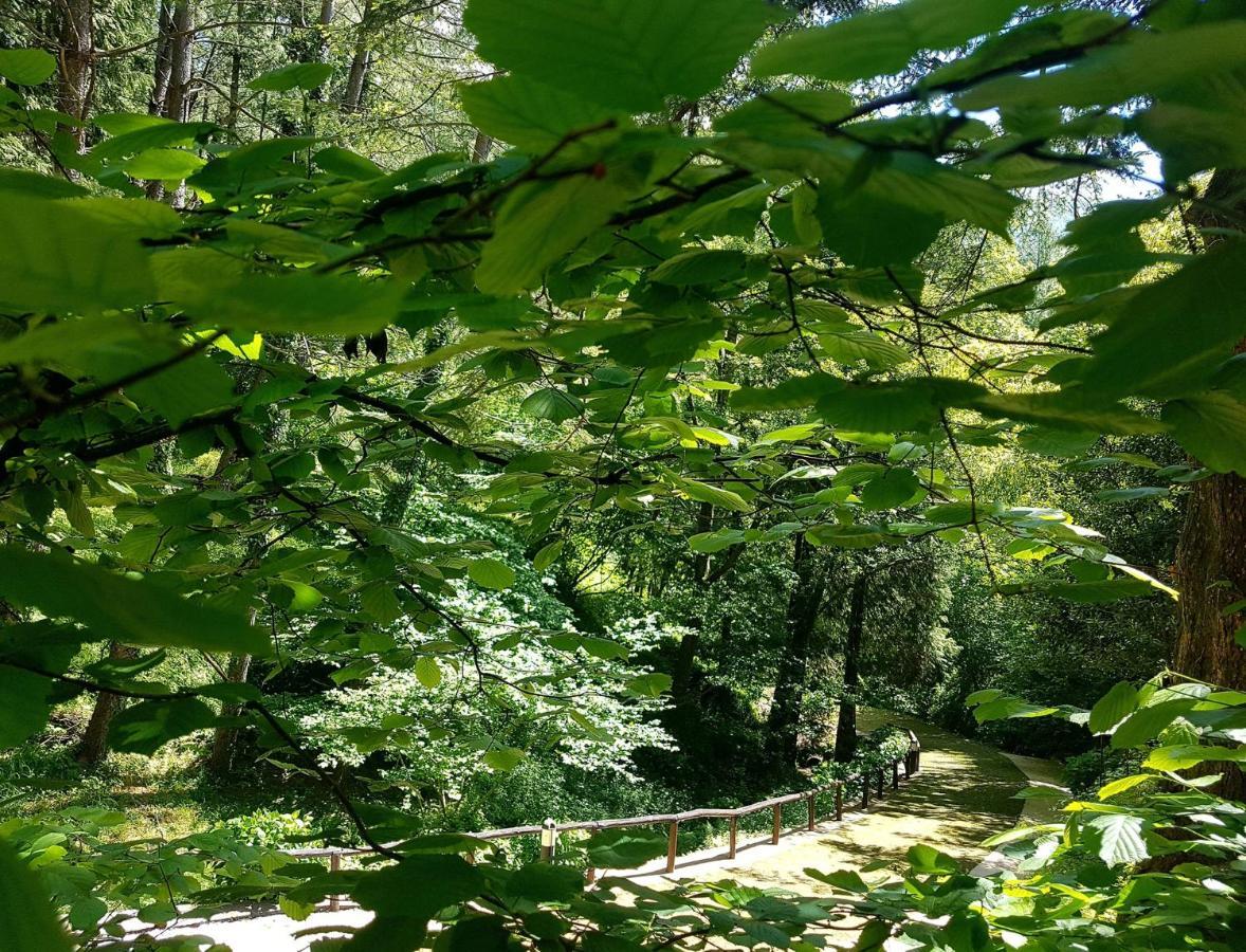 Il Bosco Di Campo Marzano Garden Apartments Borzonasca Bagian luar foto